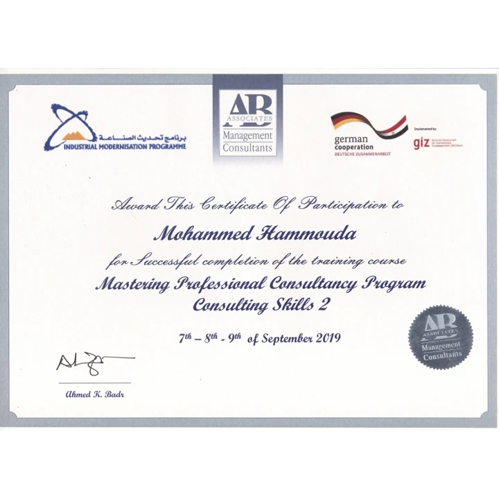 Mastering Professional Consultancy Program — Consulting Skill 2